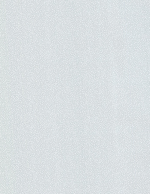 Обои Chesapeake Kitchen & Bath Resource III 347-20020