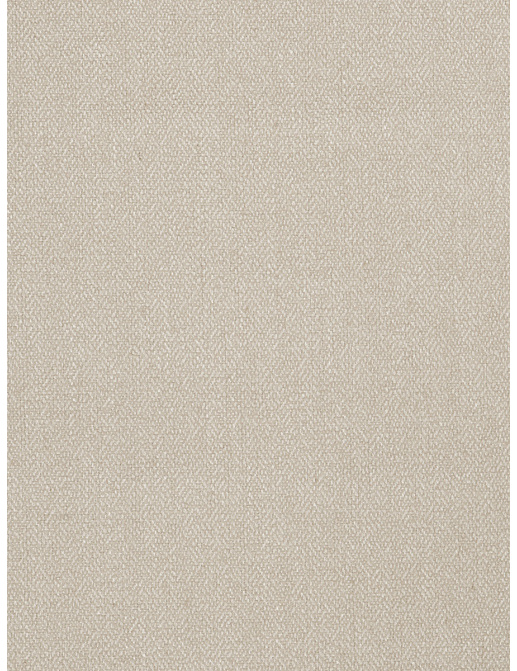 Ткань Fabricut Modern Nuances Vol.II Oyster Aronoff/Tussah
