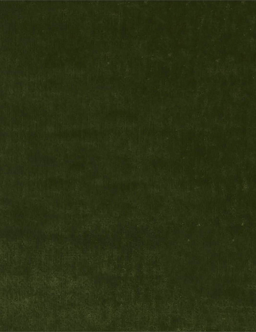 Ткань Zoffany Maze 333007