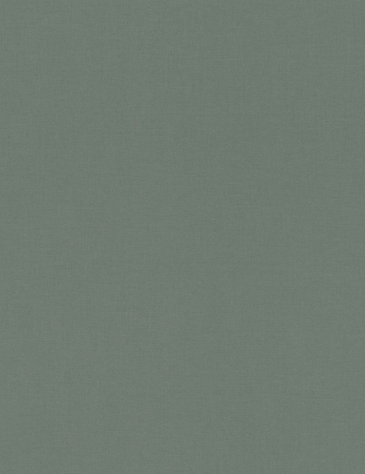 Обои Rasch Salisbury 552751