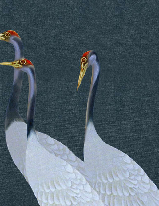Панно и фотообои Misha Asia Cranes/Blu Notte