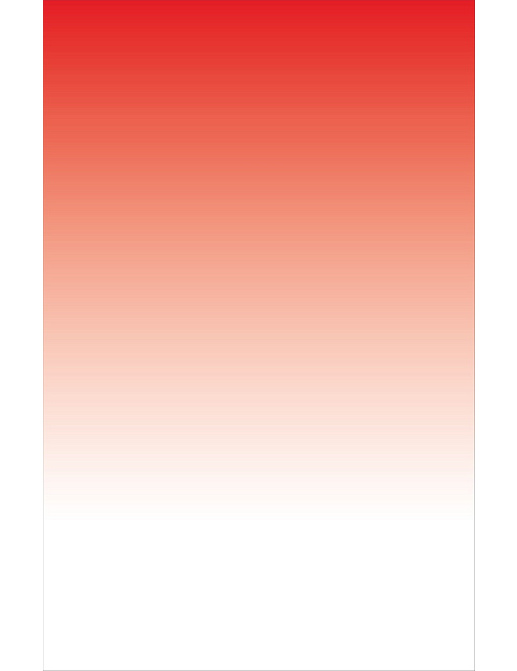 Панно и фотообои Bien Fait Papier Peint Sunset/Grenadine