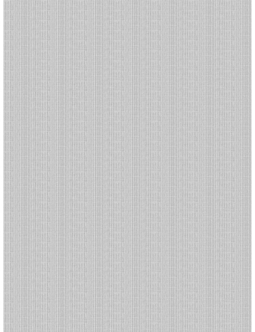 Ткань Fabricut Wide Natural Sheers Textural Breeze Pearl Sharki/Frost