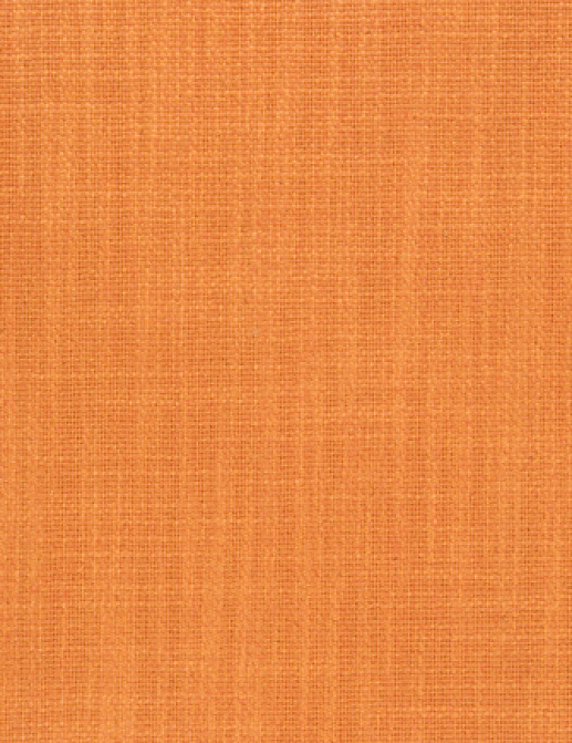 Ткань Designers Guild Panaro F1871/17