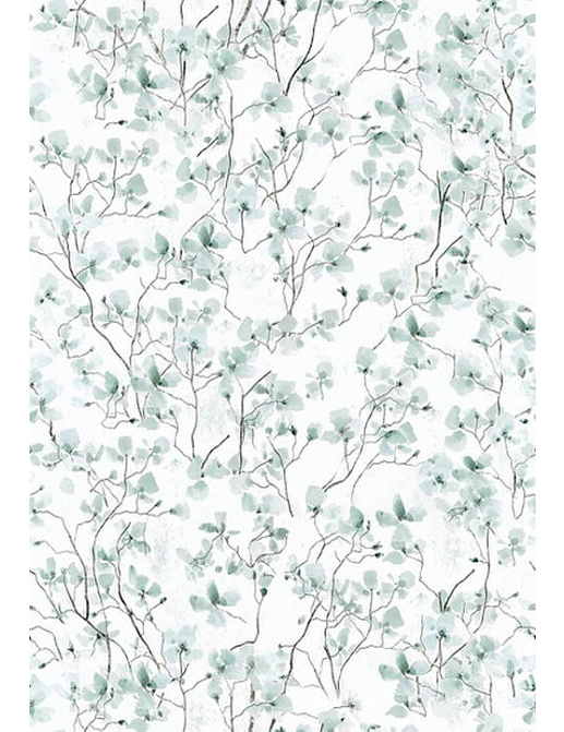 Обои Wall & Deco Elements TSRA030
