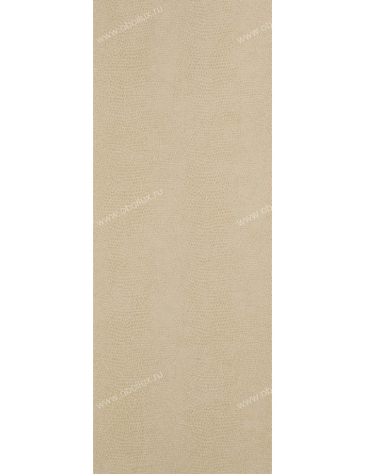 Обои York Natural Instincts DN4653NT