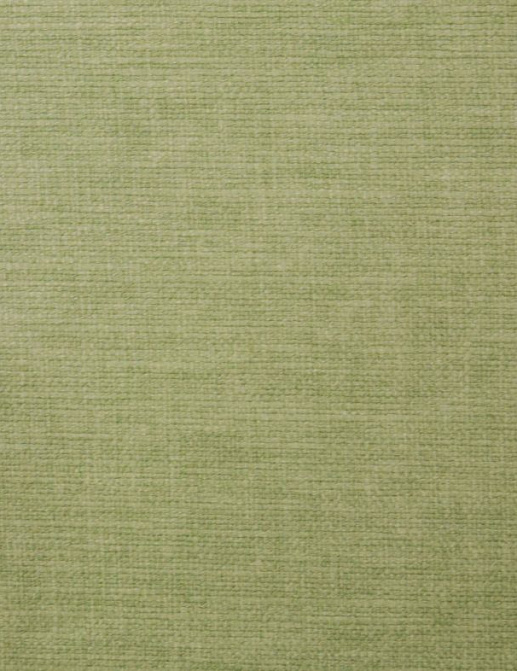 Ткань Ashley Wilde Lunar Lunar/Olive