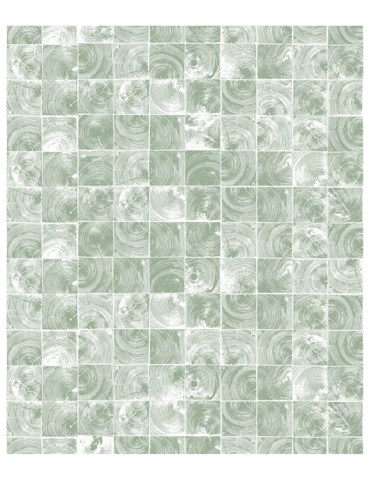 Панно и фотообои Rebel Walls No 7 Curious R14242