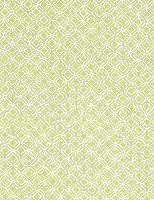 Ткань Sanderson Chika Prints 223592