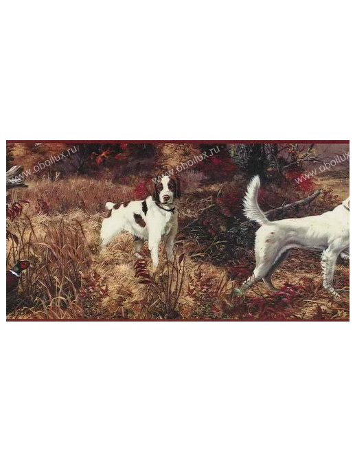 Обои Chesapeake Field Guide FG35591B