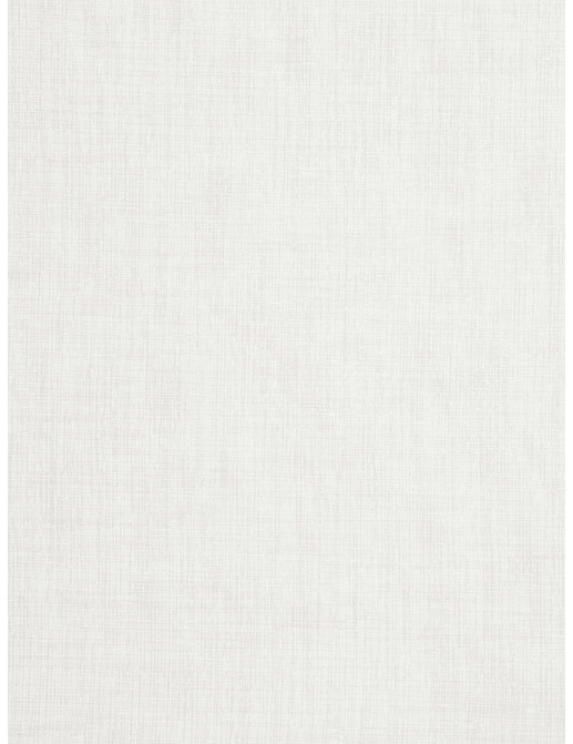 Ткань Trend Simple Wide Sheers 03336/winter