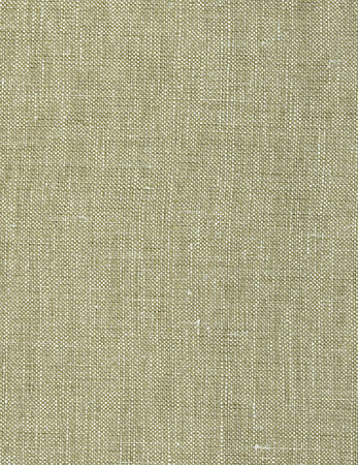 Ткань Designers Guild Tsuga F1420/01