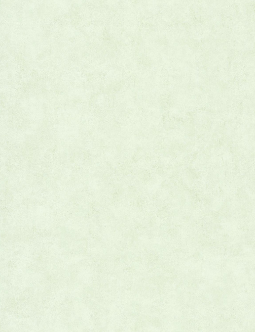 Обои Caselio Beton 2 BTO101487042
