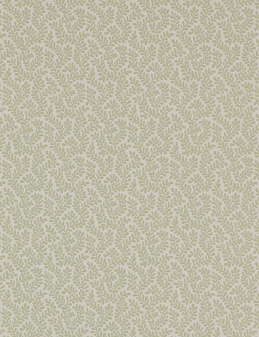 Обои Colefax and Fowler Small Design Wallpapers II 07985/07