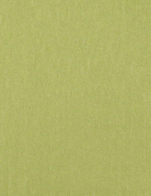 Ткань Designers Guild Brenan F1632/21