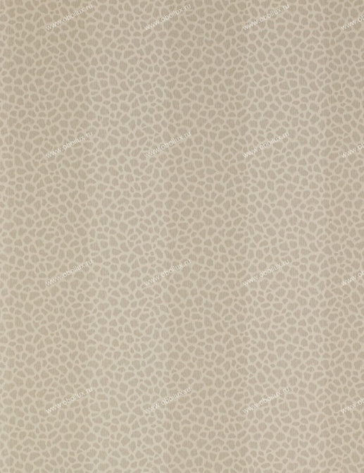 Обои Colefax and Fowler Chartworth Stripes 07140-04