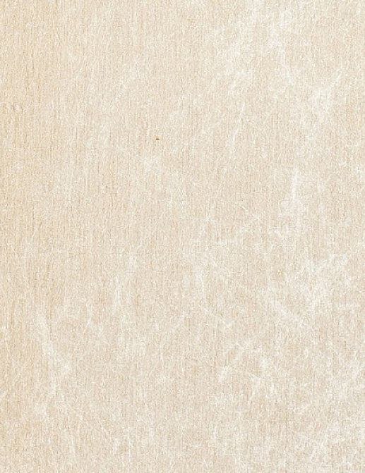 Обои Prospero Fine Mixage Natura 9080 e2