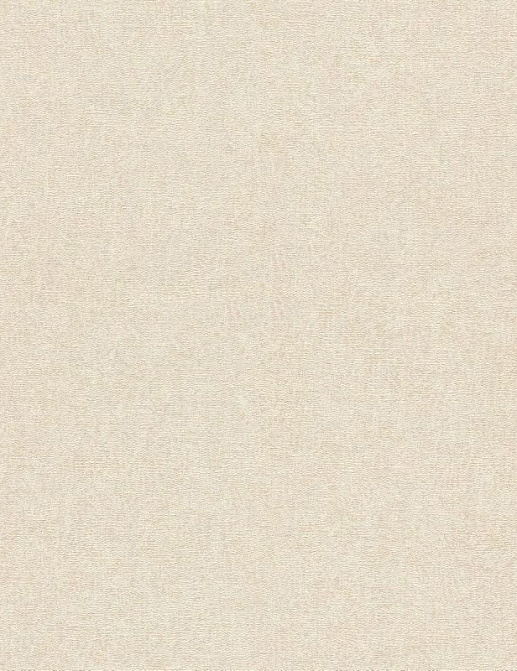 Обои Rasch Composition XL 973617