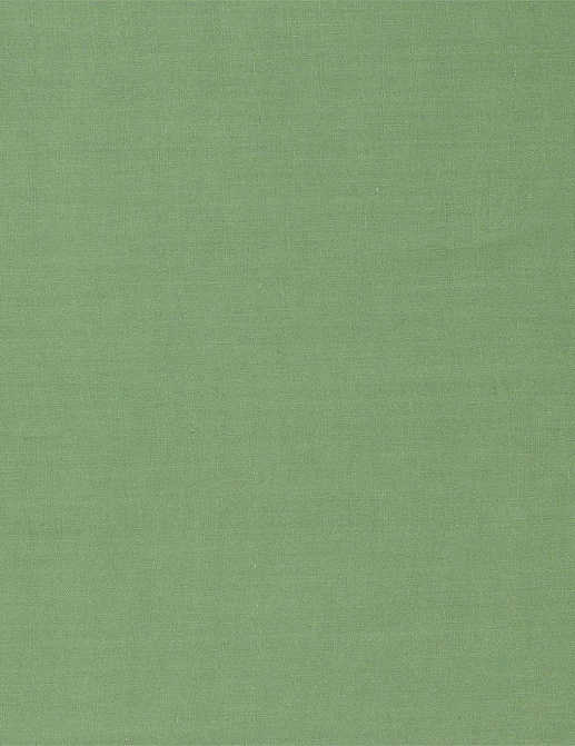 Ткань Zoffany Colours 333198