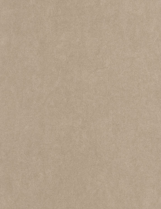 Обои Casadeco Cotton Touch COTO82381785