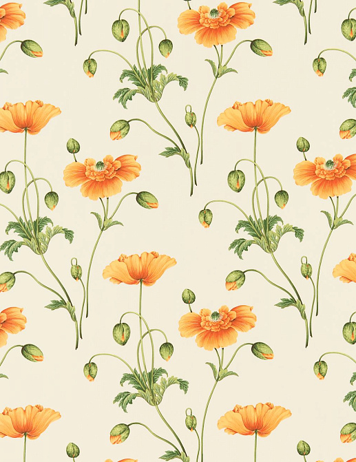 Ткань Sanderson Parchment Flowers DPFPPP202