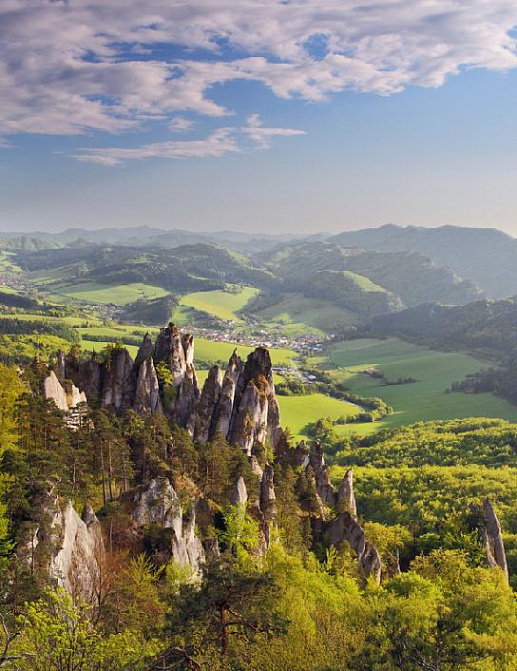 Панно и фотообои Affresco Фрески и фотообои ID10648