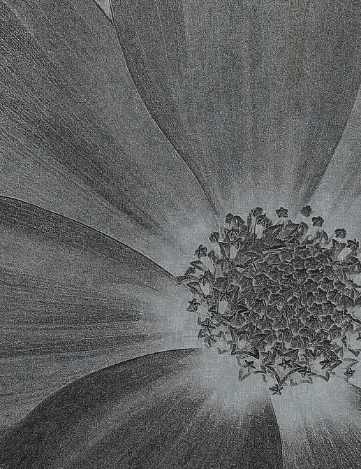 Панно и фотообои Italreflexes Macro Flower-013/Silver