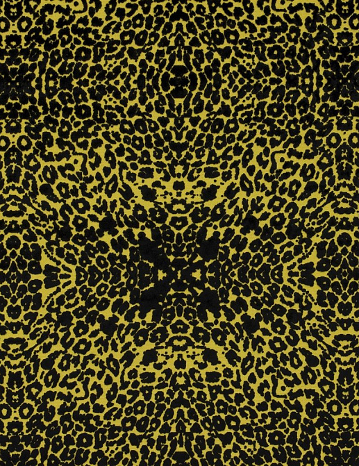 Ткань Christian Lacroix Belles Rives Prints And Weaves FCL050/01