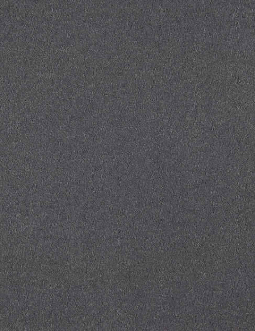 Ткань Pierre Frey Taiga 7700020