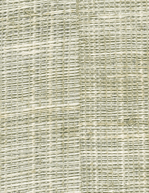 Обои Elitis Raffia & Madagascar VP60110