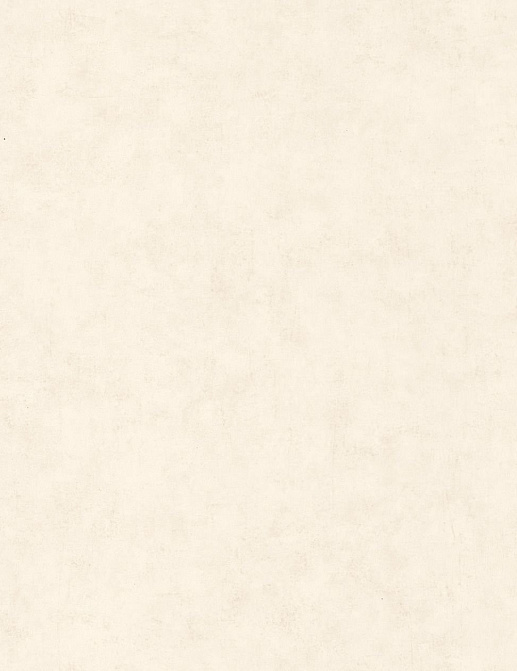 Обои Caselio Beton 101480010