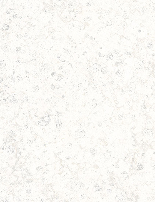 Обои Marburg Platinum 31025