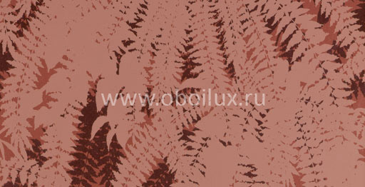 Обои Hookedonwalls Jealous Walls 77106