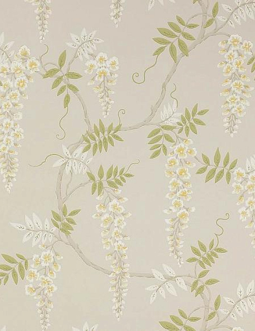 Обои Colefax and Fowler Jardine Florals W7005/01