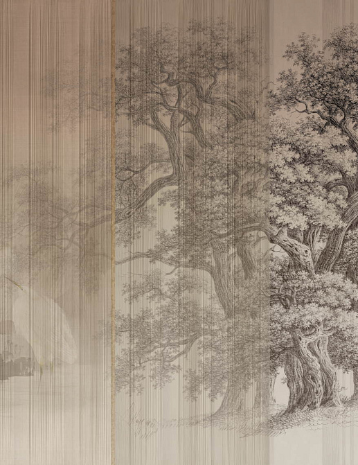Обои Glamora Creative Wallcovering GLX462A