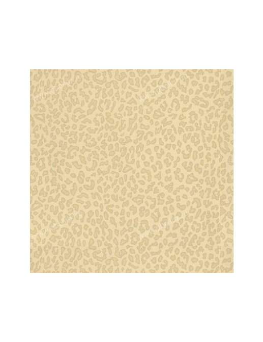 Обои Zoffany Trade Routes TRA01006