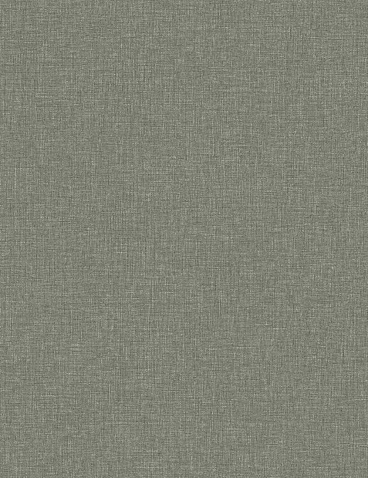 Обои Borastapeter Shades 6128
