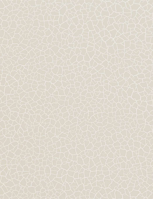 Обои Zoffany Oblique 312833