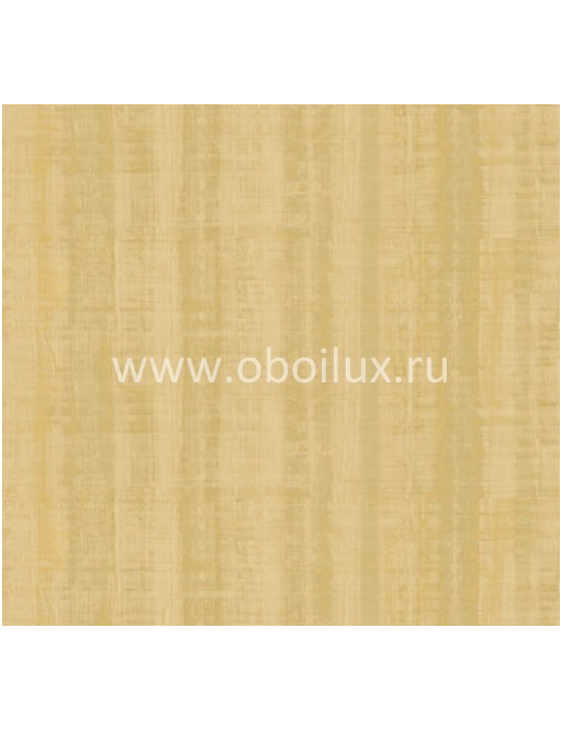 Обои York Ronald Redding - Designer Backgrounds II DS1034