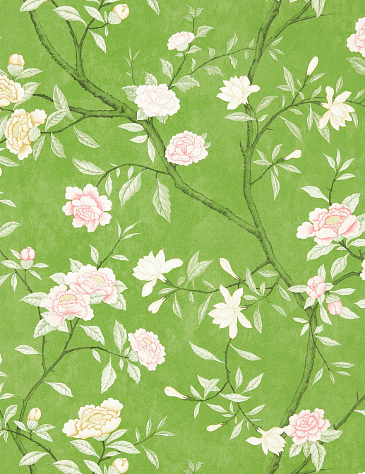 Обои Zoffany Cotswolds Manor 313030