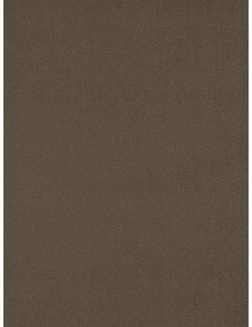 Ткань Trend Lifestyles By Color vol.IX Sand/Storm 04627/flax
