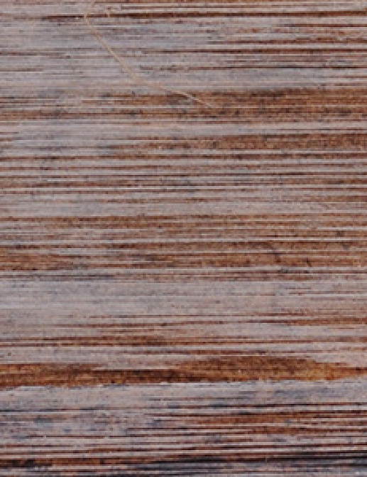 Панно и фотообои Innovations Collection Bora BOR-247 PAPEETE