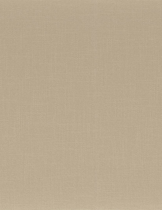 Ткань Camengo Rondo 2 14710915