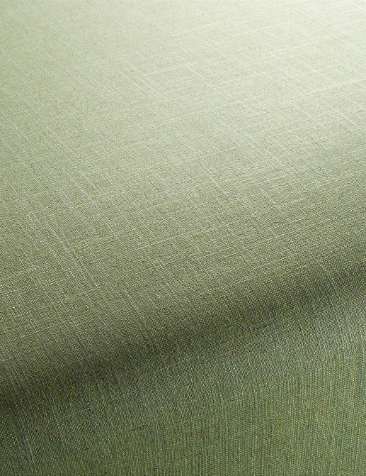 Ткань Chivasso Carlucci di Chivasso Two-Tone vol.2 CA7655/038