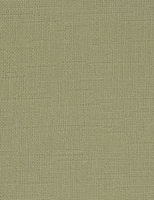 Ткань Designers Guild Ferrara FT1461/01
