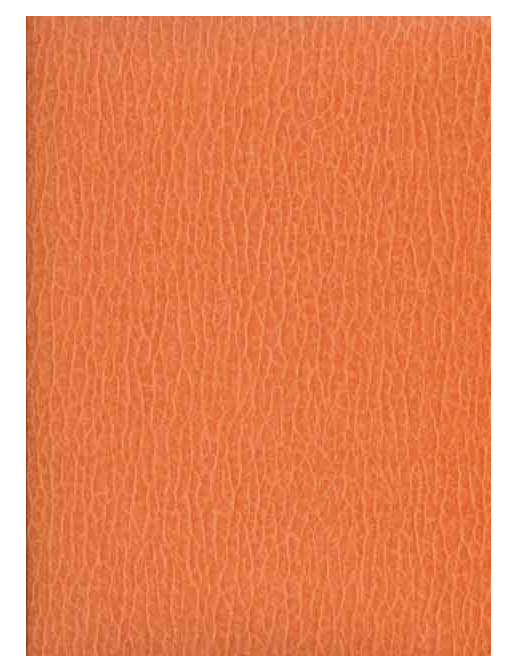 Обои Caselio Seduction SDN 5751-70-90