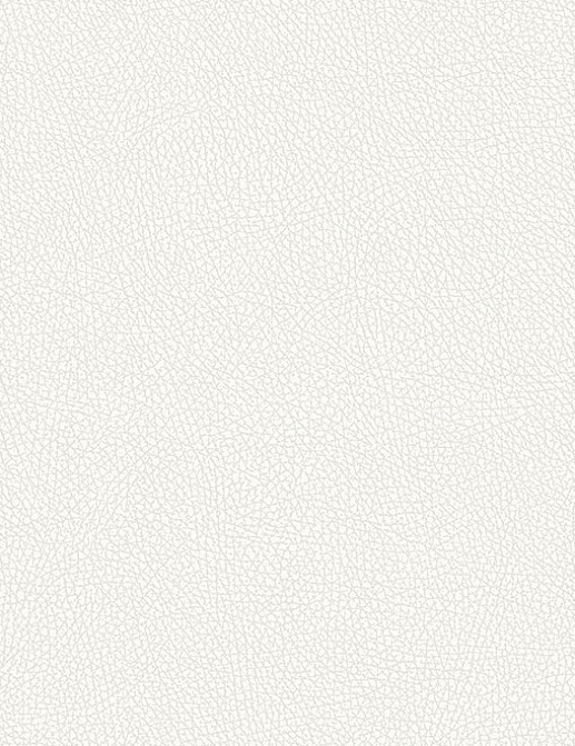 Обои Architector Sansibar KT25481