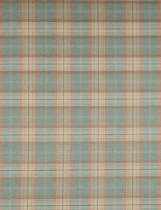 Ткань Colefax and Fowler Magnus Checks F4720/03