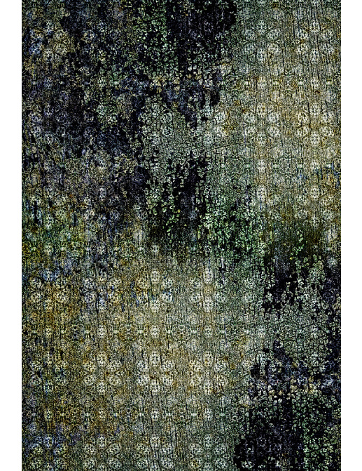 Панно и фотообои JWall 1002 Pandora WJQ00191