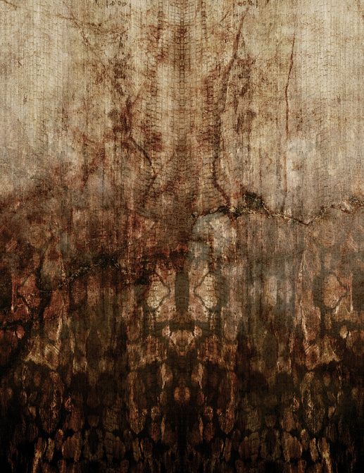 Панно и фотообои Glamora Creative Wallcovering GLEL102A